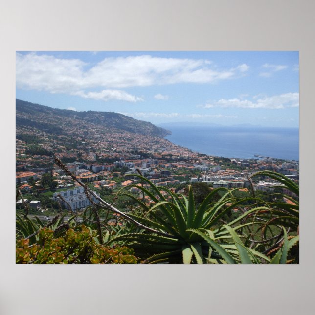 Poster de Pico dos Barcelos II (Devant)