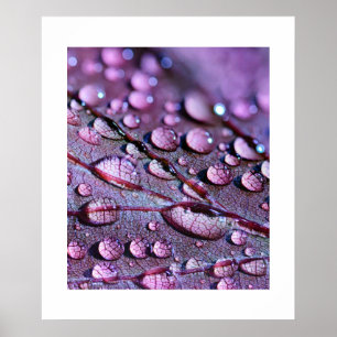 Poster de pluie violette