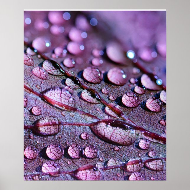 Poster de pluie violette (Devant)