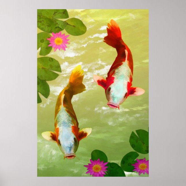 Poster de poisson Koi Carp (Devant)