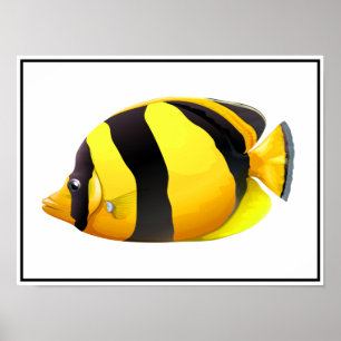 Poster de poisson rayé