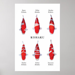 Poster de poissons koi japonais : Kohaku