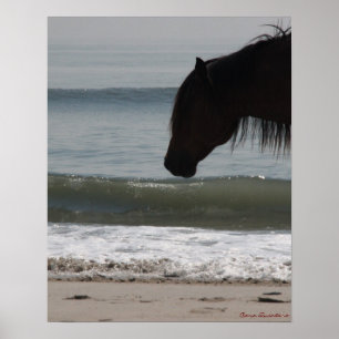 Poster De Pony On The Beach