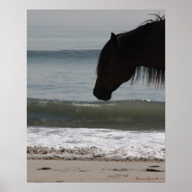 Poster De Pony On The Beach (Devant)