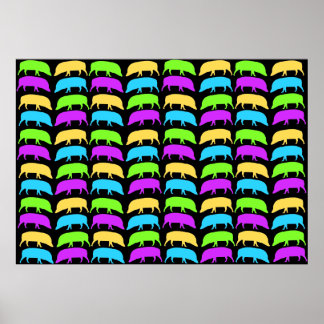 Poster de porcs multicolores