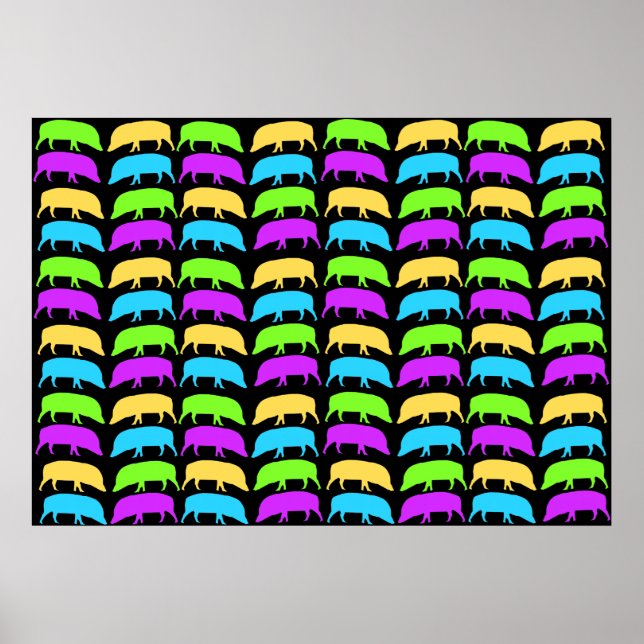Poster de porcs multicolores (Devant)