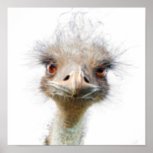 Poster de poulet de l'art Emu