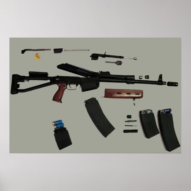 Poster de prise de contrôle Saiga 12 (Devant)