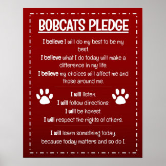 Poster de promesses de Bobcats