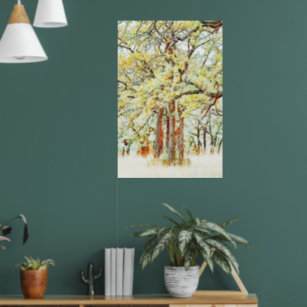 Poster de quatre chênes dans une forêt sauvage