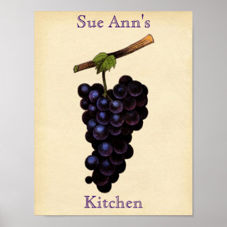 Poster de raisin vintage