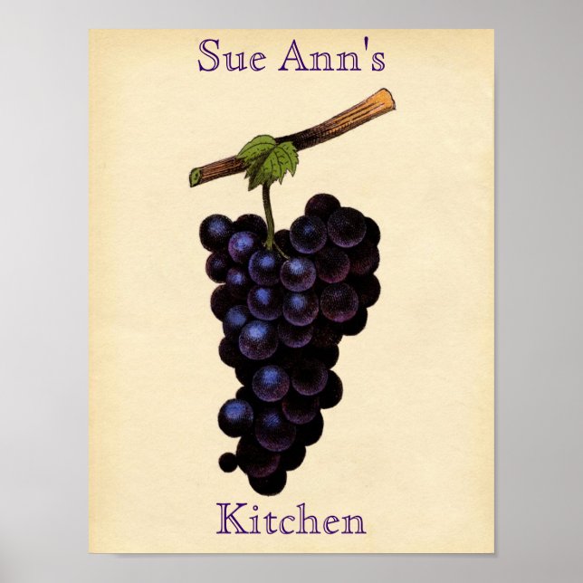 Poster de raisin vintage (Devant)