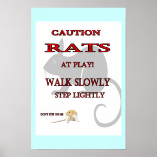 Poster de Rats At Play