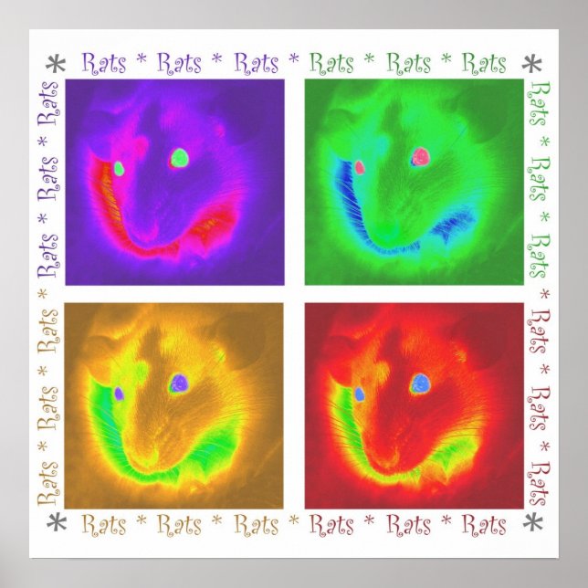 Poster de Rats Rats Rats (Devant)