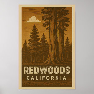 Poster de Redwoods National Park California
