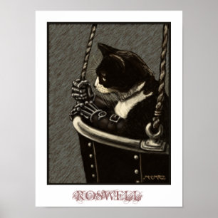 Poster de Roswell
