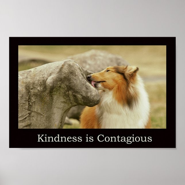 Poster de Rough Collie "La gentillesse est contagi (Devant)