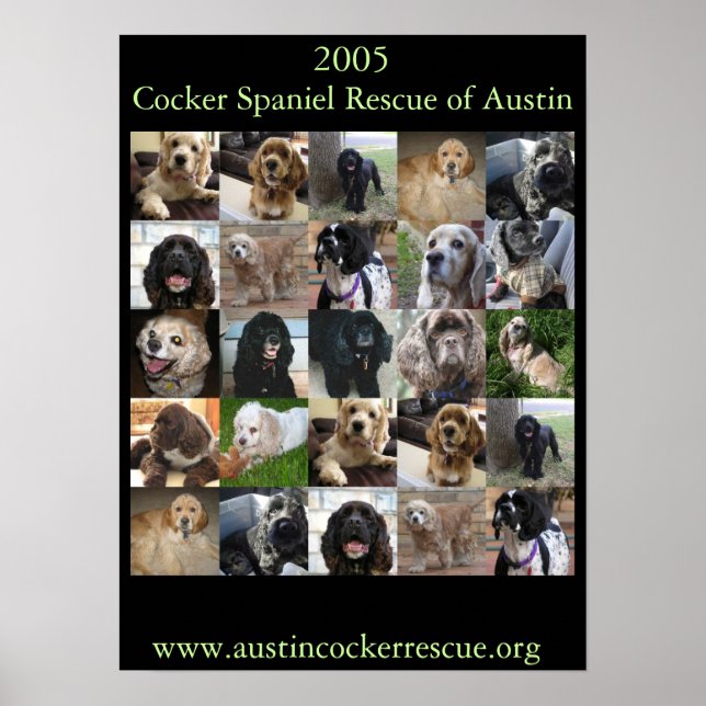 Poster de Secourt Cocker Spaniel 2005 (Devant)
