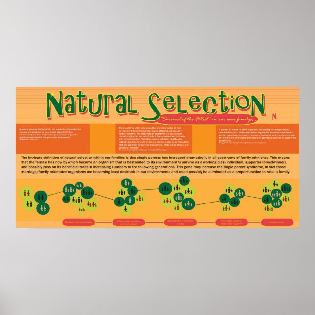 Poster de sélection naturelle (Devant)