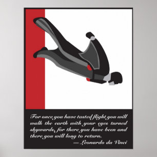 Poster de SkyDive en combinaison ailée