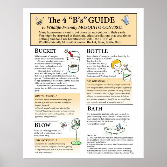 Poster de solutions pour moustiques respectueuses  (Devant)