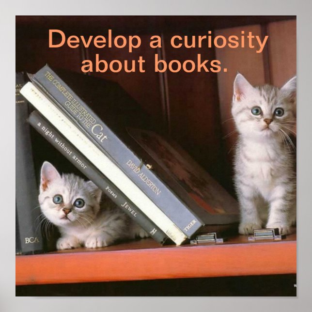 Poster de soutien à l'alphabétisation (Devant)