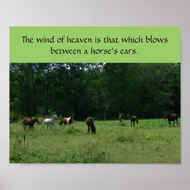 Poster de soutien Secourt du cheval de course (Devant)