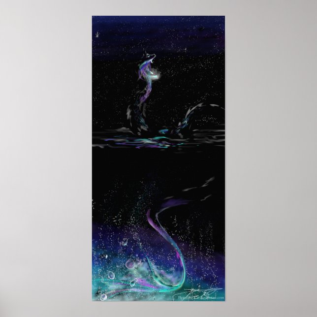 Poster de Stargazer (Devant)