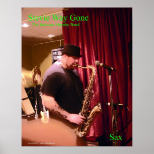 Poster de Stevie Ray Gone