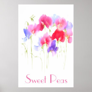 POSTER DE STYLE WATERCOLOR POISSON DOUX