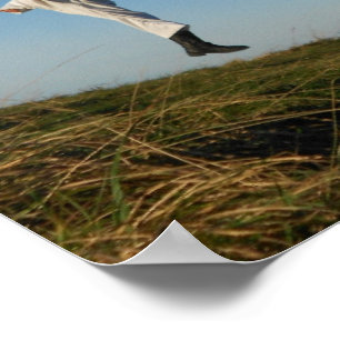 Poster de Taekwondo Spirit Indomptable