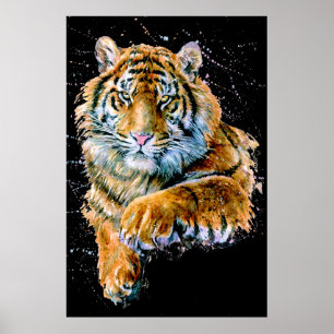 Poster de TIGER