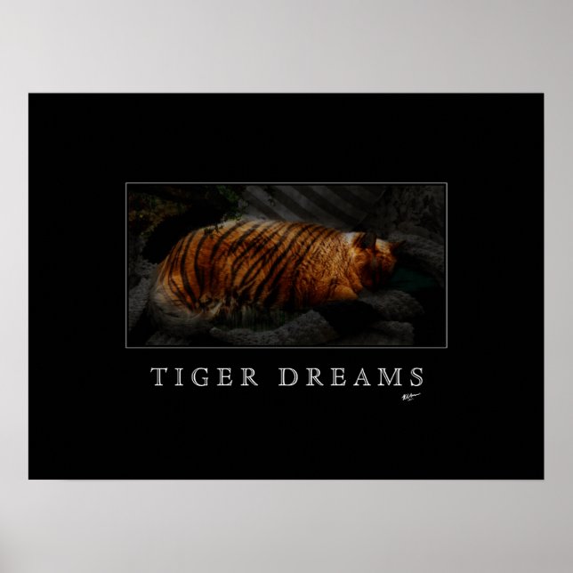Poster de Tiger Dreams (Devant)