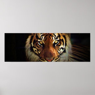 Poster de Tiger Eyes - Posters Wild Life