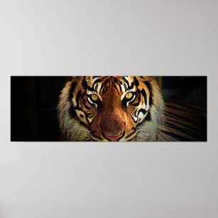 Poster de Tiger Eyes - Posters Wild Life
