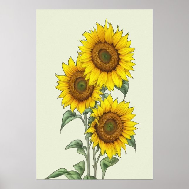 Poster de tournesol aquarelle (Devant)