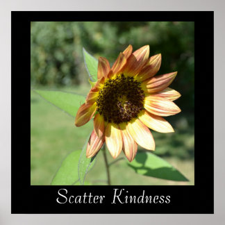 Poster de tournesol Scatter Kindness