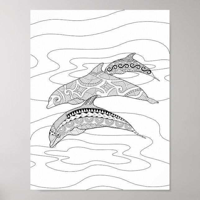 Poster de trois dauphins de couleur adulte (Devant)