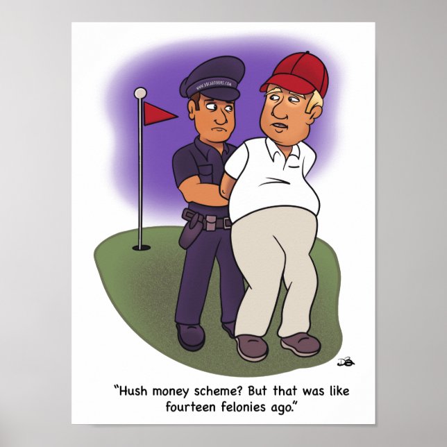 Poster de Trump Felonies (Devant)