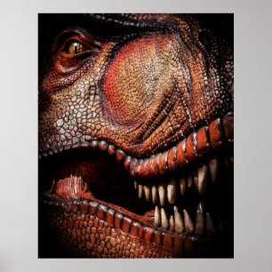 Poster de Tyrannosaurus Dinosaur