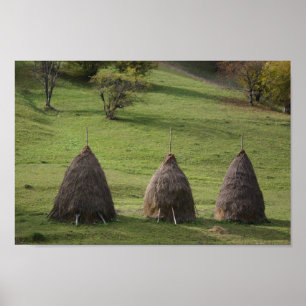 Poster de valeur Bales de paille en papier