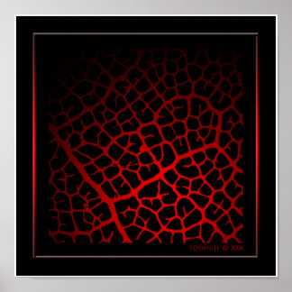 Poster de Vein