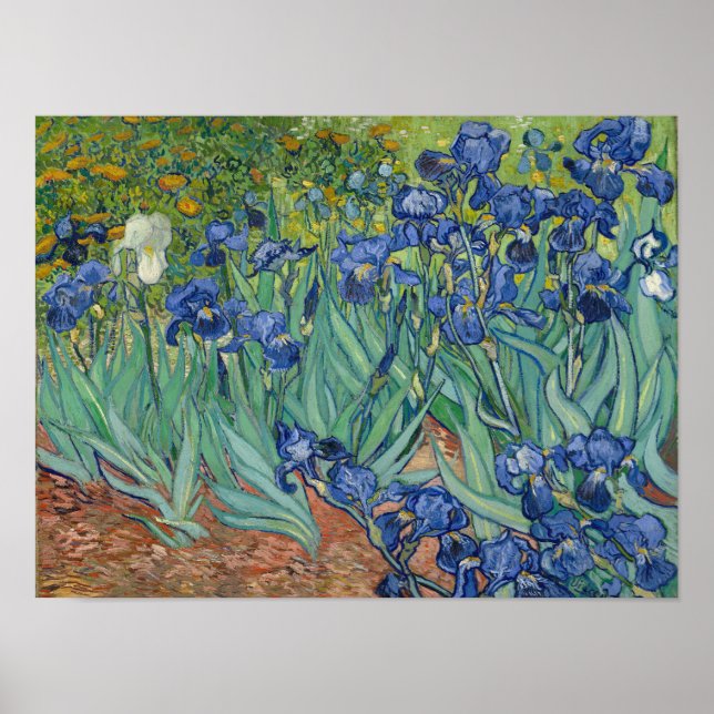 Poster de Vincent Van Gogh Irises Imprimer (Devant)