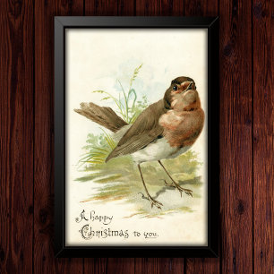 Poster de voeux de Noël Robin Bird vintage 1908