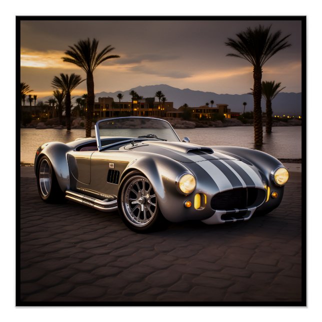 Poster de voiture de course de Matte - Perfect Wal (Devant)