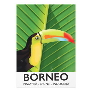 Poster de voyage Bornéo Toucan