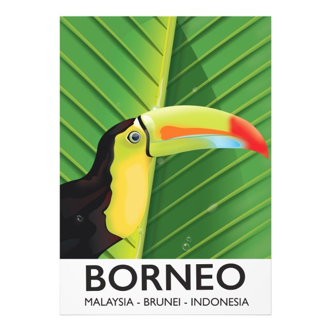 Poster de voyage Bornéo Toucan (Devant)