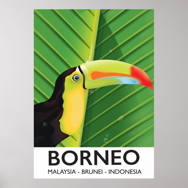 Poster de voyage Bornéo Toucan (Devant)
