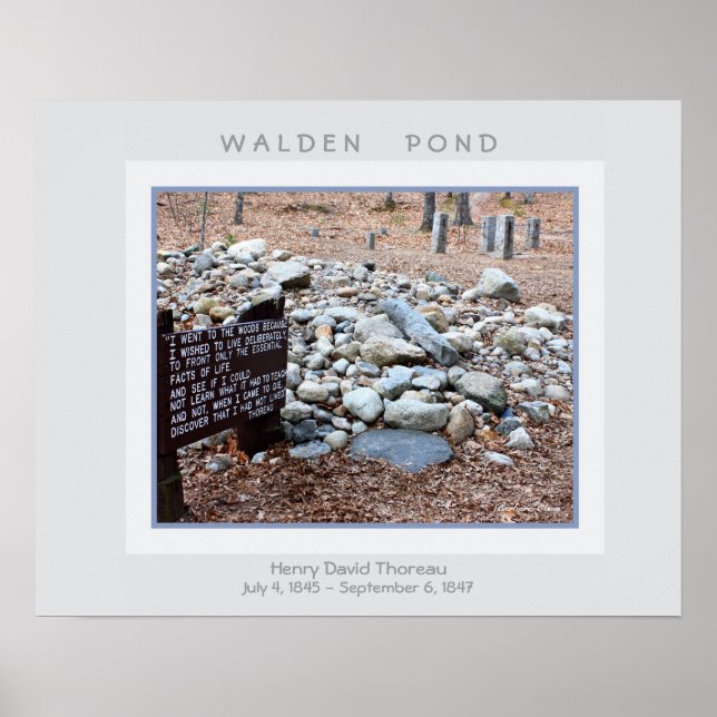 Poster de Walden Pond (Devant)