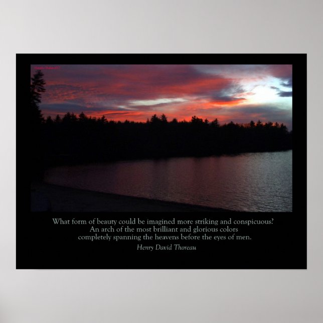Poster de Walden Pond - Love Note to the Sky (Devant)